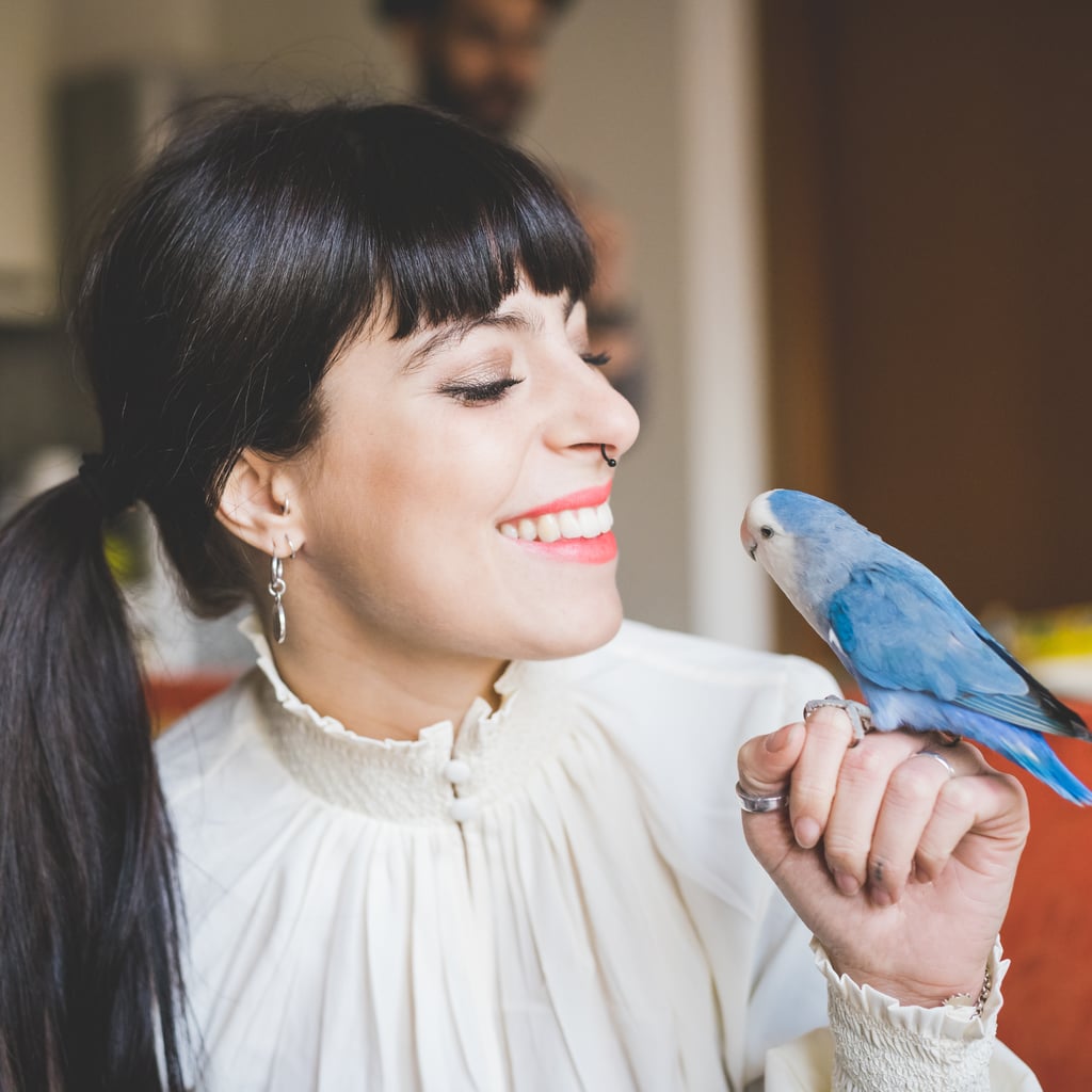 Which Uncommon Pet Are You By Zodiac Sign | POPSUGAR Pets