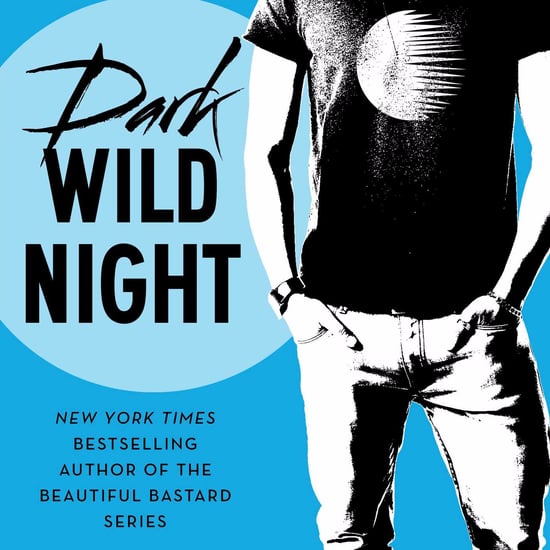 Dark Wild Night by Christina Hobbs Book Excerpt