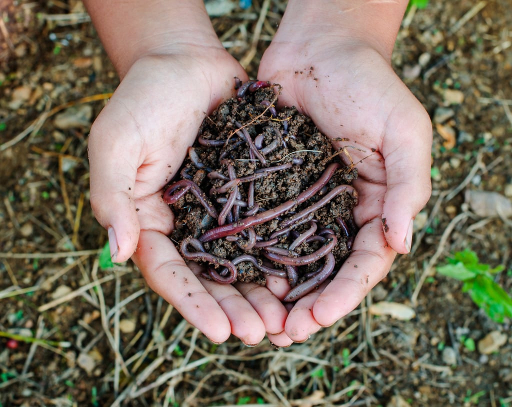 Earthworm-Poo Wrinkle Cream