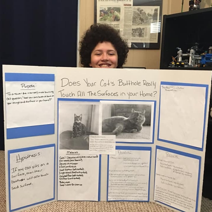 Do Cat Buttholes Touch All Surfaces In Your Home Experiment Popsugar Pets