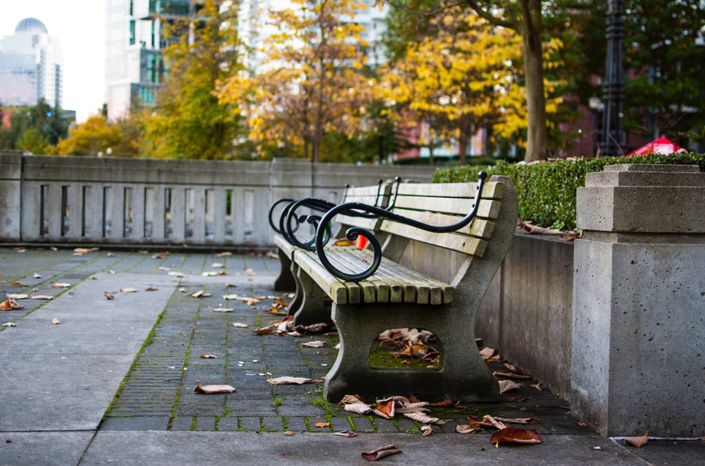 Bench Beauty