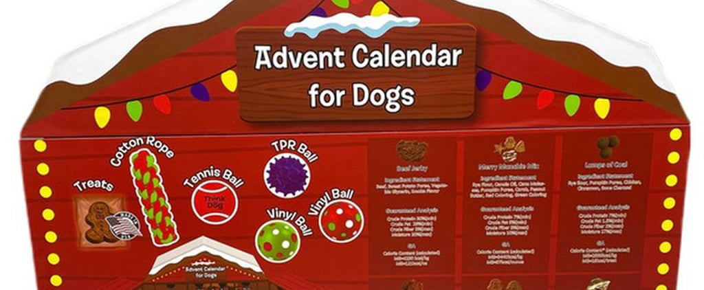 Costco's Dog Advent Calendar Has Arrived For 2021