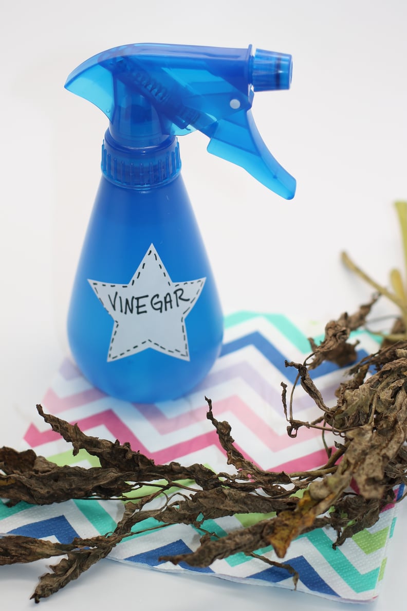 Kill Weeds With Vinegar