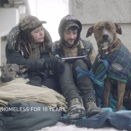 Homeless People Read Mean Tweets