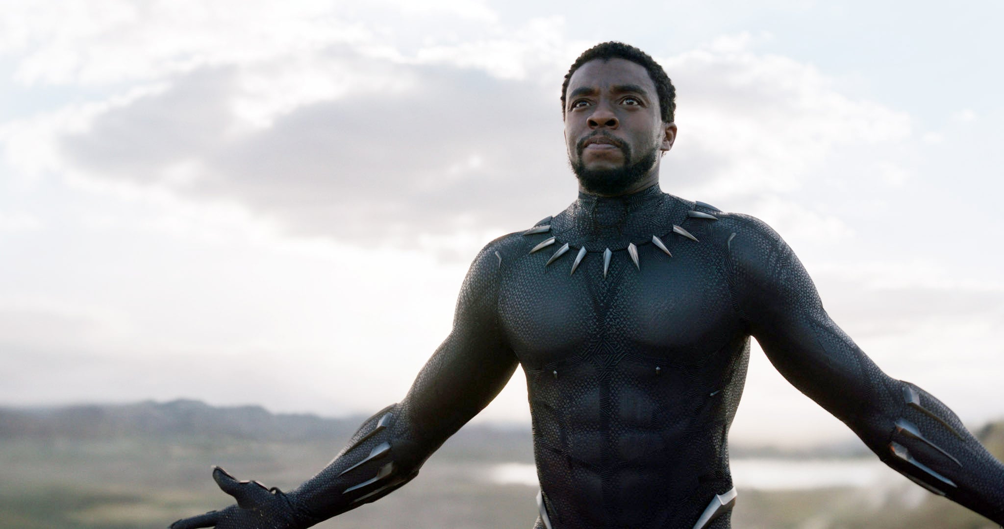 Chadwick Boseman in Black Panther.