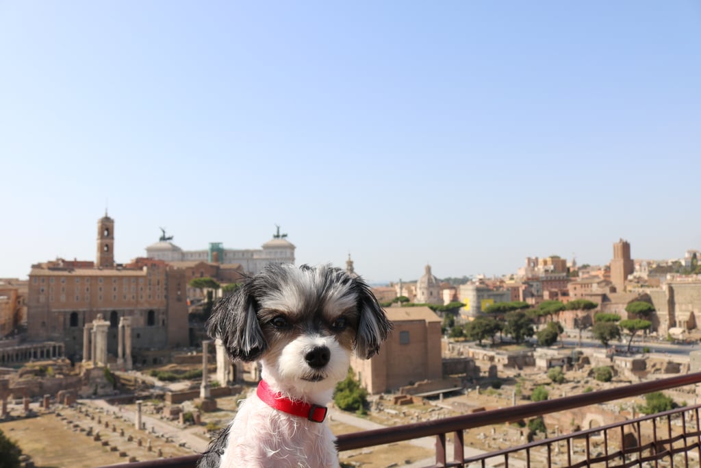 The Roman Forum and Ruins were definitely breathtaking!