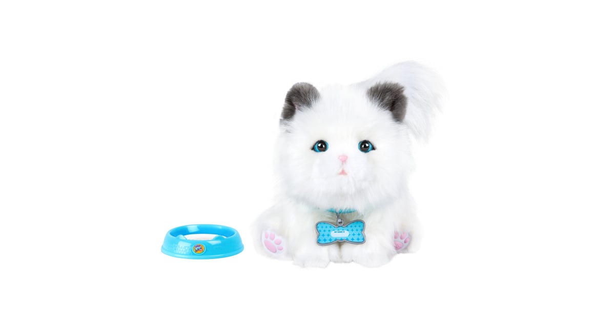 little live pets cuddles my dream kitten amazon