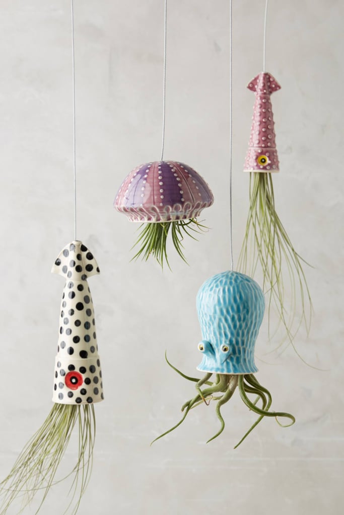 What's better than a hanging succulent planter? A sea creature hanging succulent planter ($42-$58). We can't look at that giant squid without giggling!
