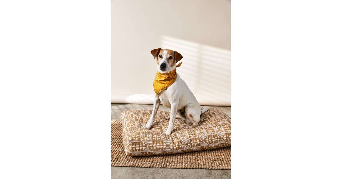 House of Harlow 1960 Creator Collab Goldenrod Batik Dog Bandana