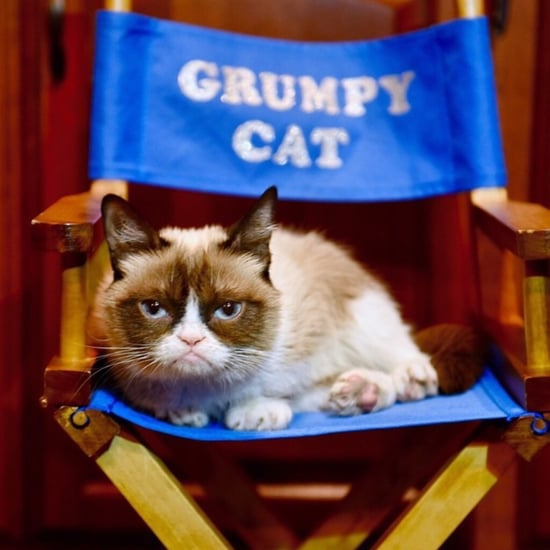 Grumpy Cat Has Died