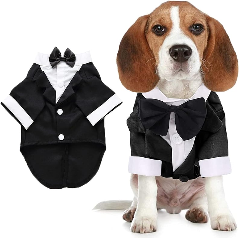 Dog Tuxedo