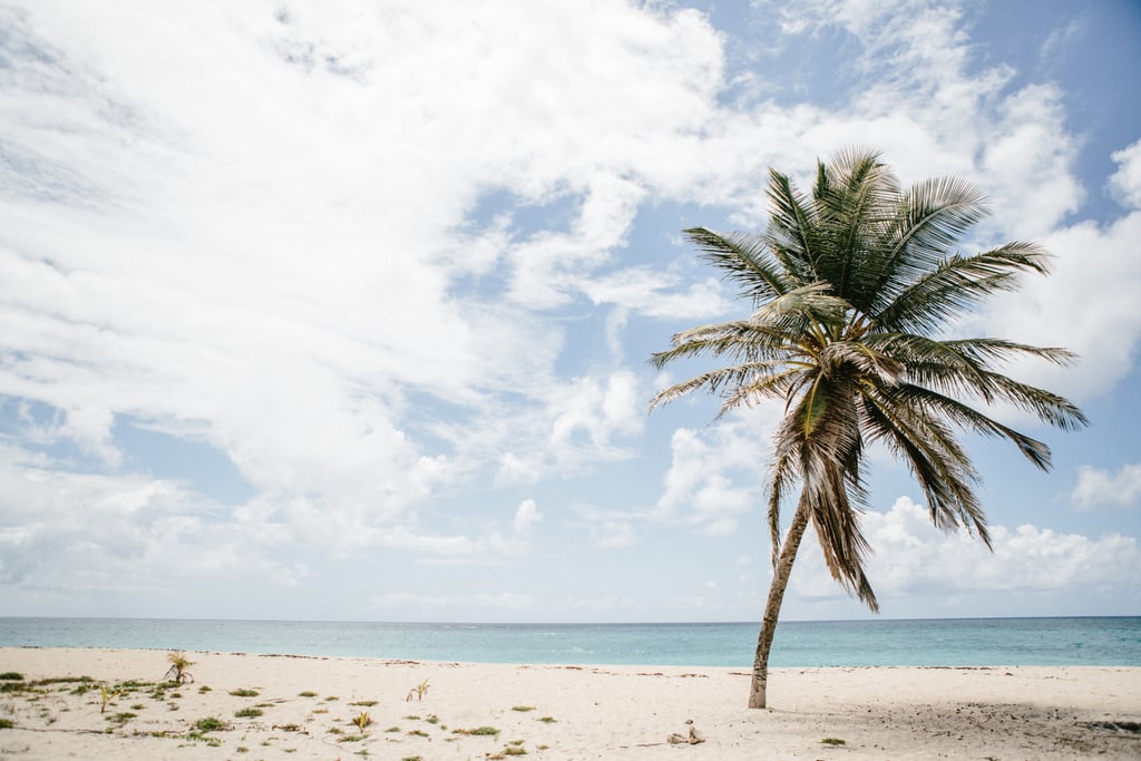Destination Wedding In Barbados Popsugar Love Sex