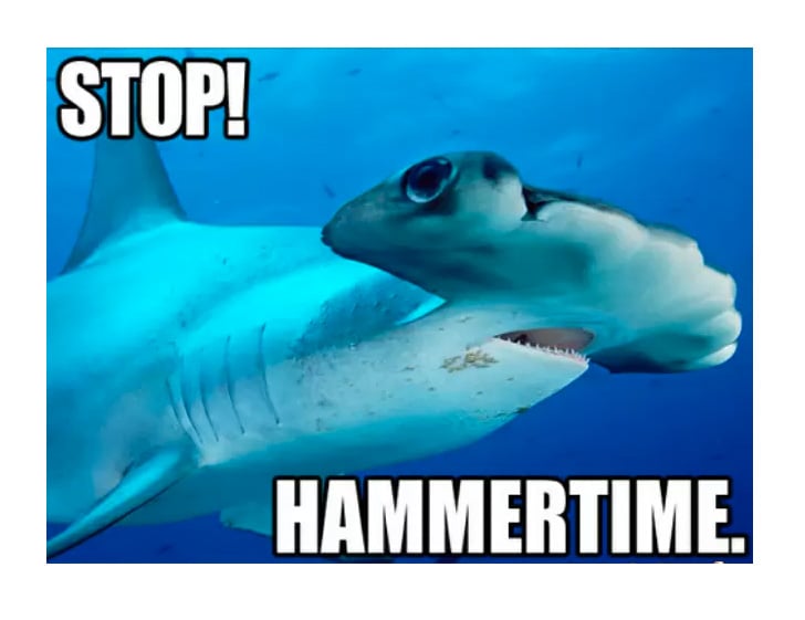 Best Shark Memes | POPSUGAR Tech