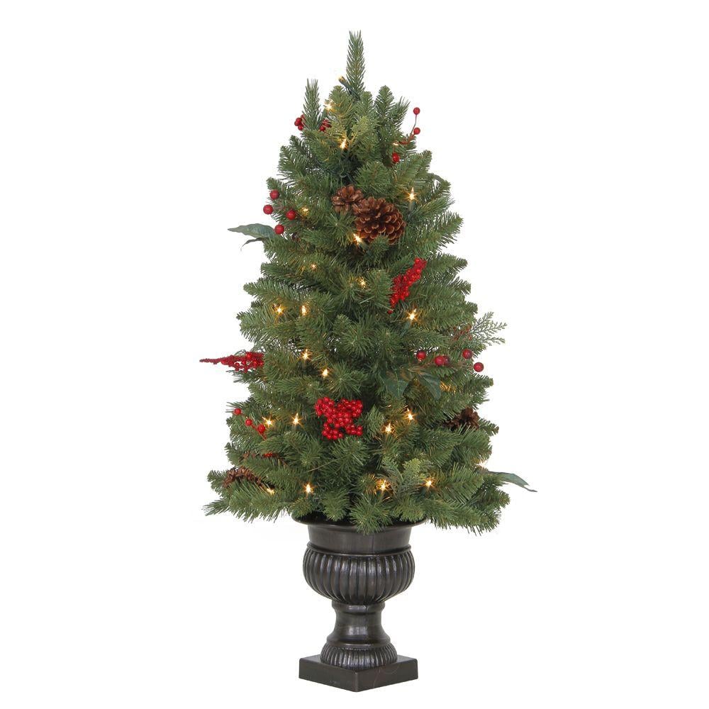 Winslow Fir Potted Artificial Christmas Tree With 50 Clear Lights ($20, ori...