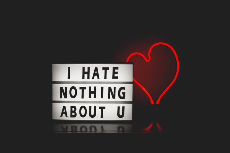 Valentine's Day Zoom Background: I Hate Nothing About You