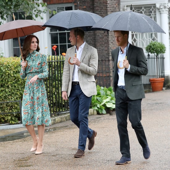William and Harry at Princess Diana Garden Kensington Palace