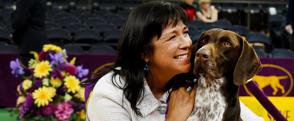 2016 Westminster Kennel Club Dog Show Best in Show Winner
