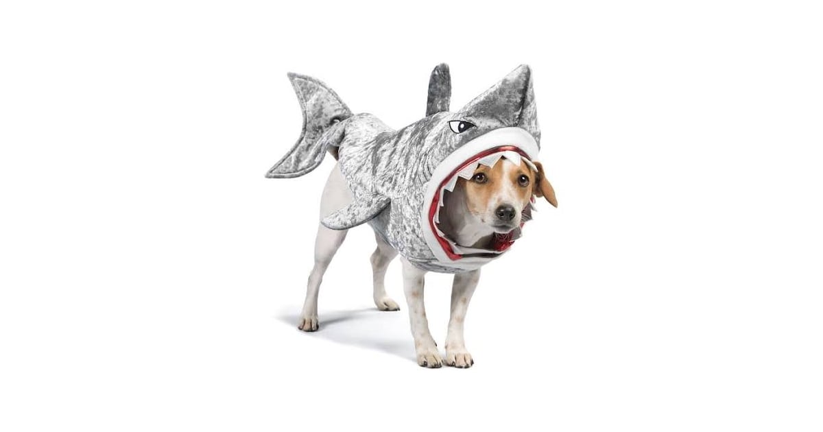 Shark Dog Halloween Costumes 2018 POPSUGAR Family Photo 6