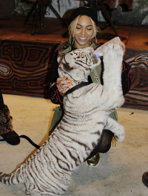 Beyoncé fed a baby tiger during Blue's birthday party.
Source: Tumblr user Beyoncé Knowles