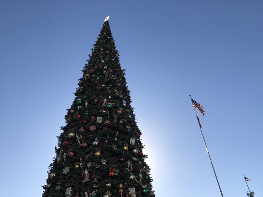 The Tree Is Decorated With Nearly 1,800 Ornaments.