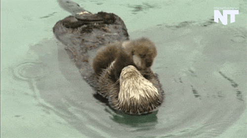 When they snuggle their babies.