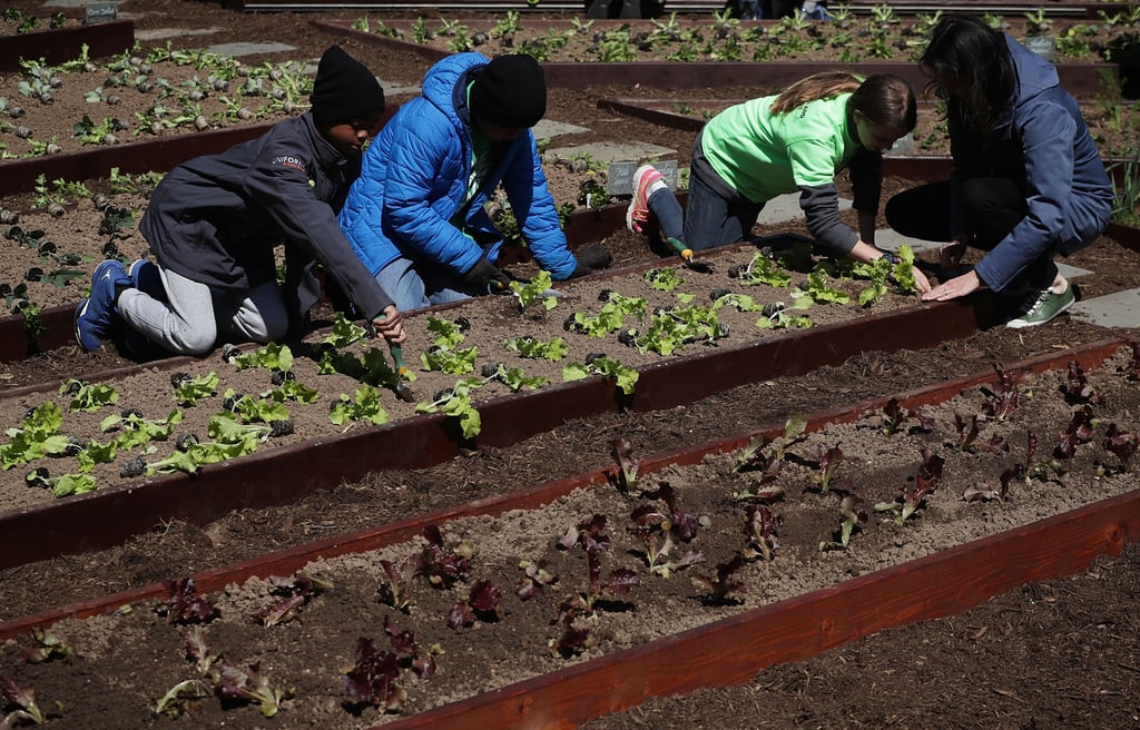 Michelle Obama Gardens With Students April 2016
