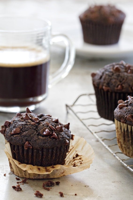 Chocolate Zucchini Muffins