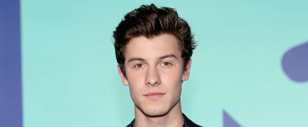 Shawn Mendes at the 2017 MTV VMAs