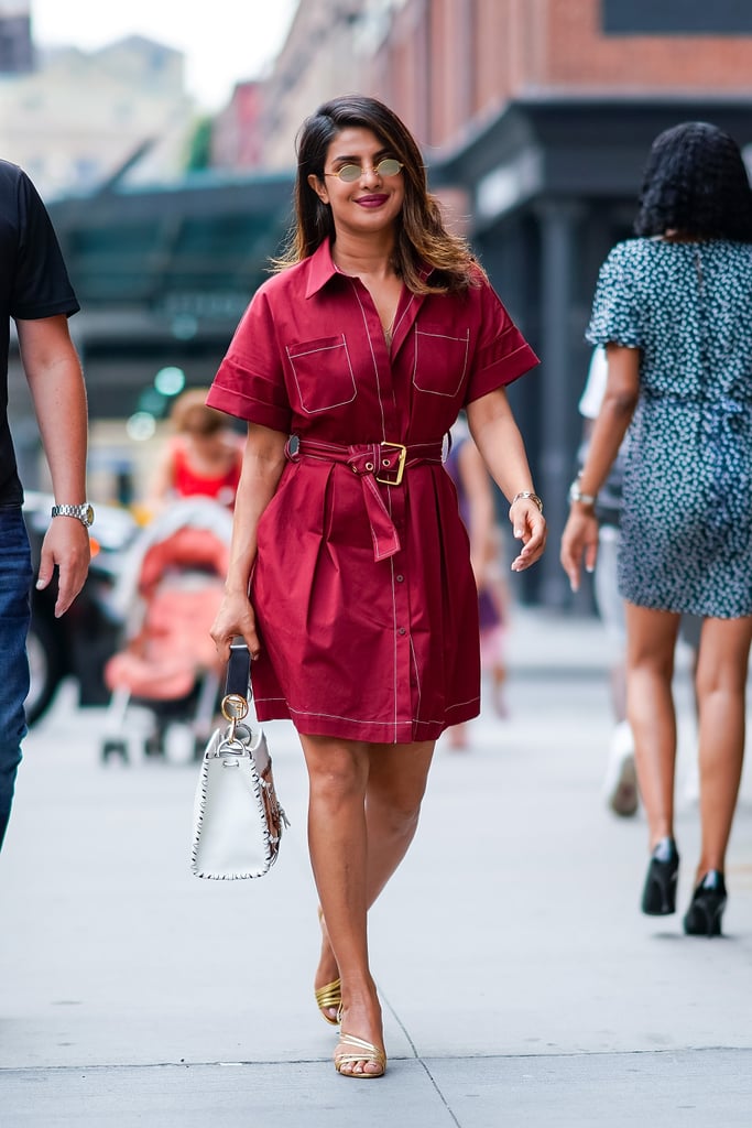 Priyanka Chopra's Diane Von Furstenberg Dress