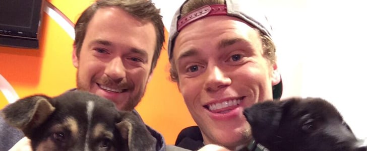 Gus Kenworthy and Sochi Stray Dogs on Today | Video