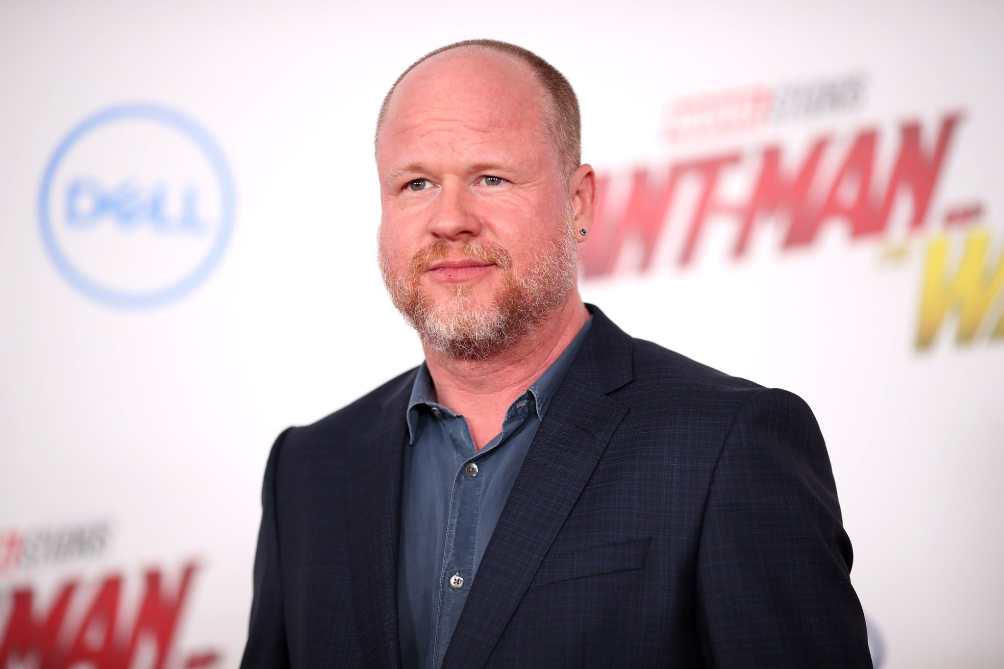 LOS ANGELES, CA - JUNE 25:  Joss Whedon attends the premiere of Disney And Marvel's