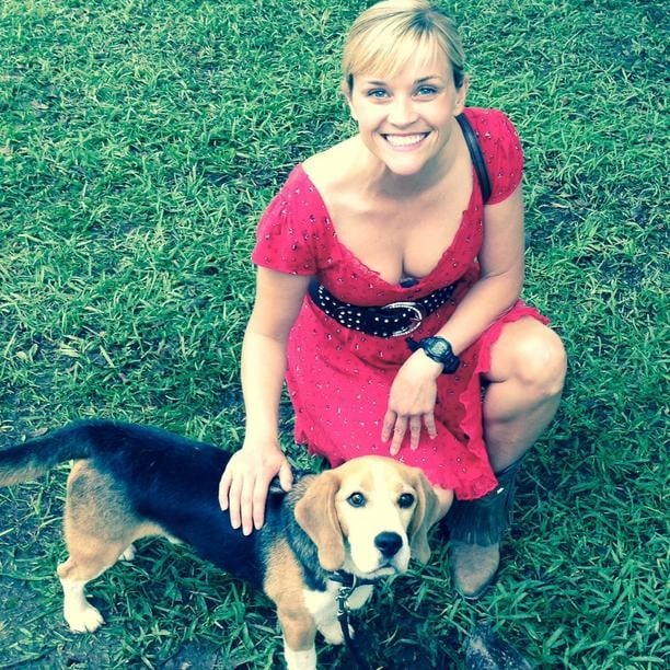 Reese Witherspoon hung out with a dog on set.
Source: Instagram user reesewitherspoon