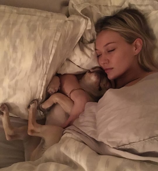 "Zzzzzzzzz 👸🐶Zzzzzzzz"