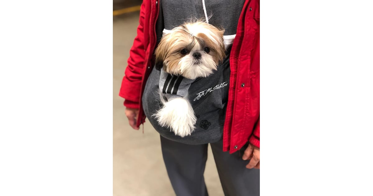 Pet Carrier Shirts Kitten Puppy Holder Animal Pouch Hood Sweatshirt