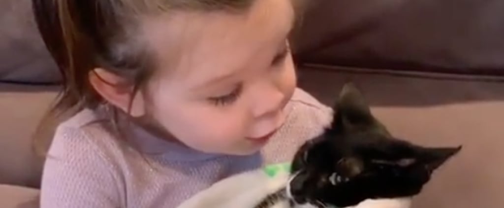 Video of Little Girl Saying Goodbye to Her Cat