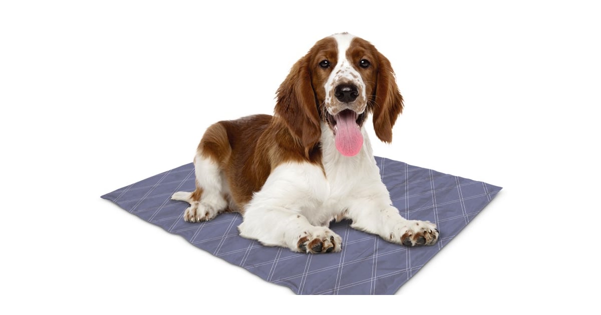 Summer Pet Shopping Aldi Cooling Mats and Bandanas For Dogs POPSUGAR