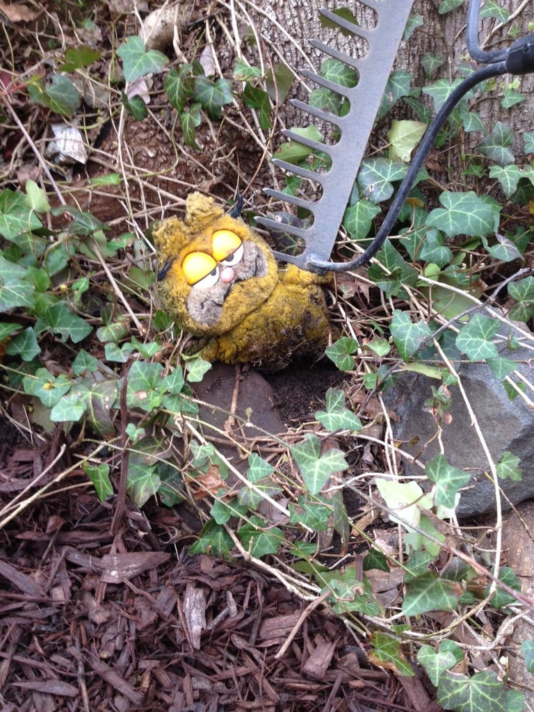 "Highlight of my weekend: my girlfriend and I are doing yard work. She screams, "OMG, I found a dead squirrel or something — OMG." Me: "OK, leave it to me — I'll take care of it."
Source: Imgur user PhilDunphyIsMyDad