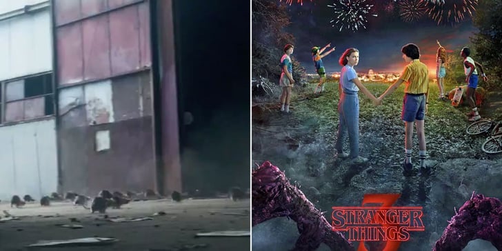 Stranger Things Season 3 Rat Teaser Video | POPSUGAR ...