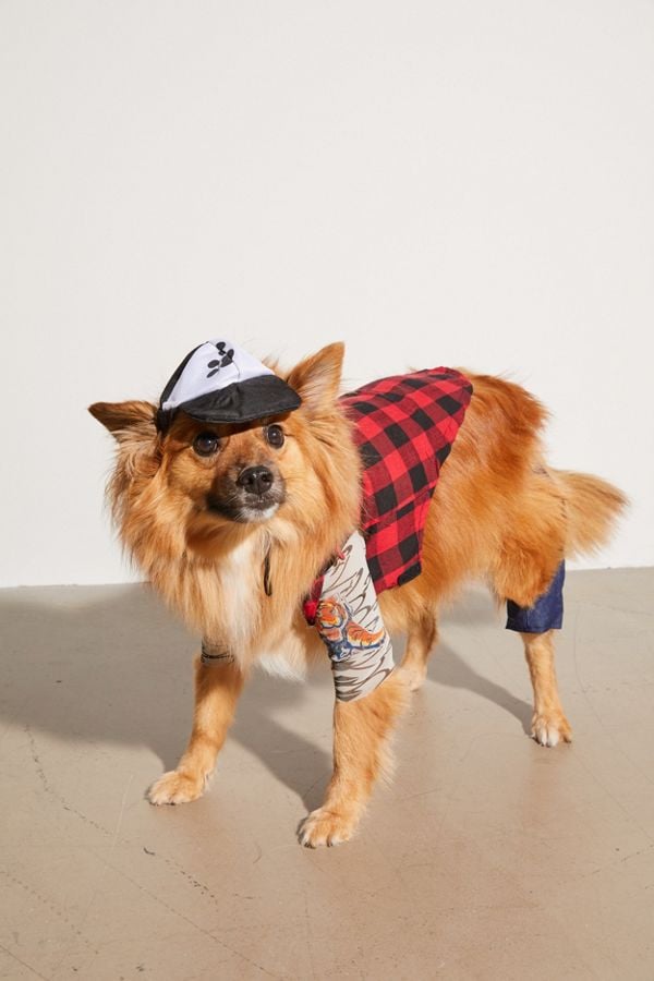 Hipster Dog Halloween Costume