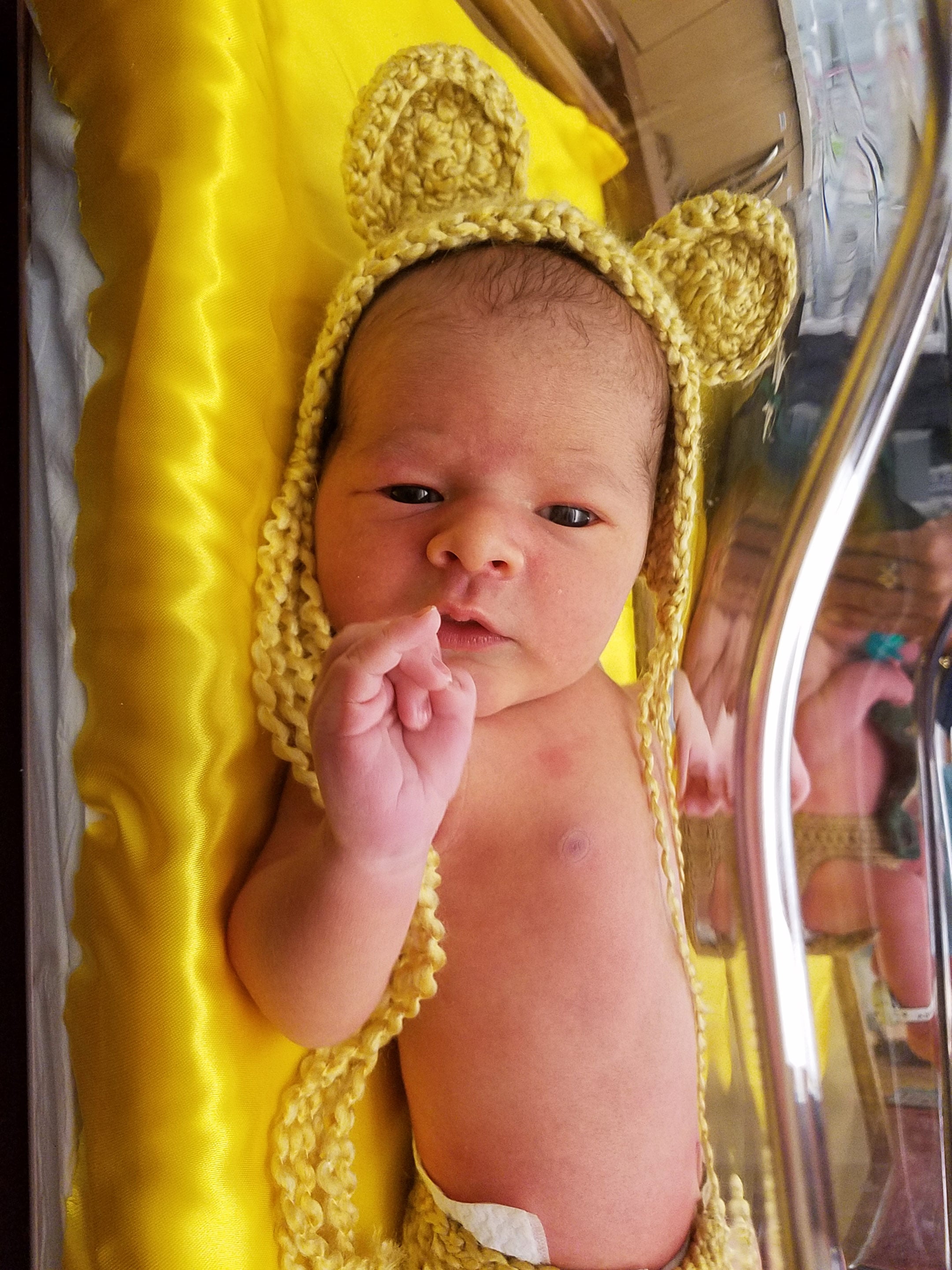 Newborn Babies Dressed in Wizard of Oz Costumes POPSUGAR Family