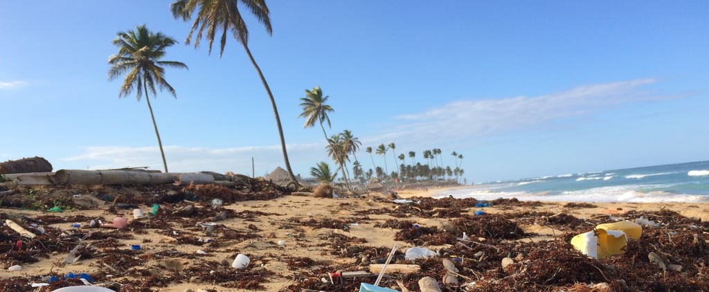 Why You Should Care About "Blue Beauty" Just as Much as Green Beauty