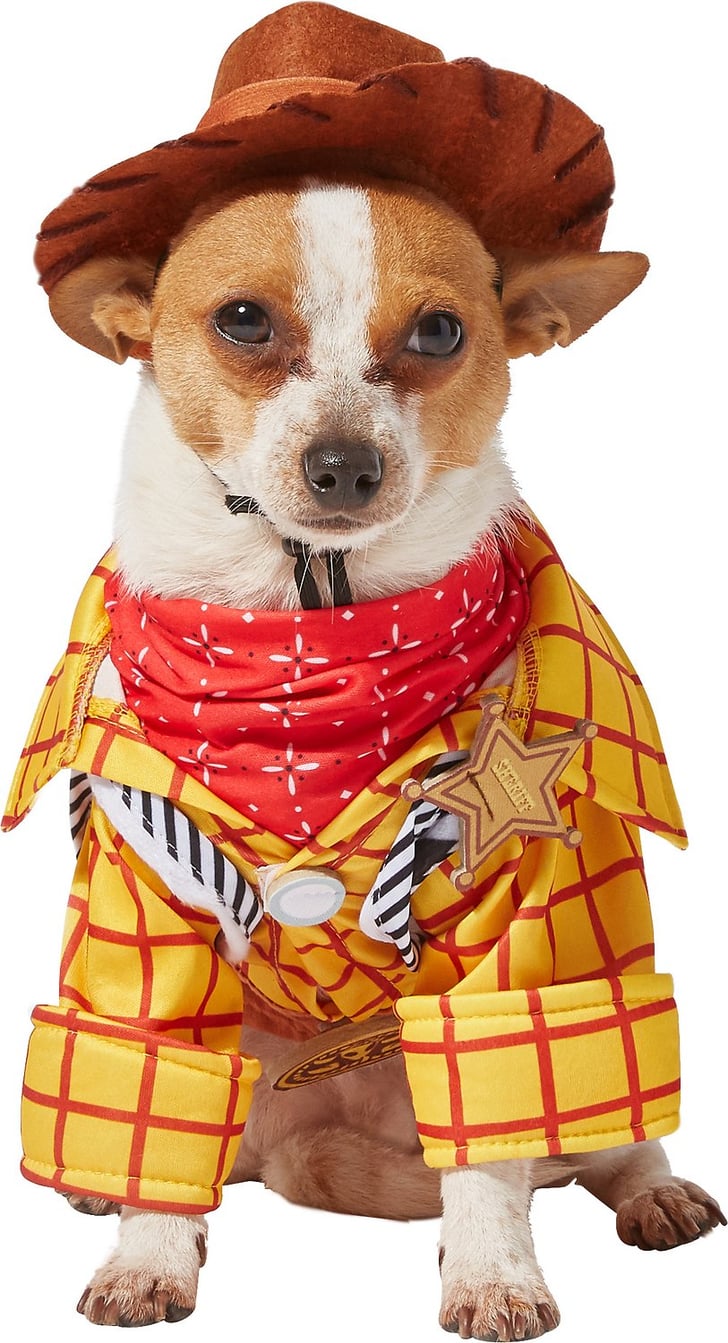 Rubie's Costume Company Toy Story Woody Dog Costume Best Cat and Dog