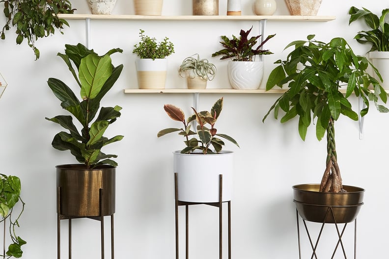 Joybird Jules White Planter