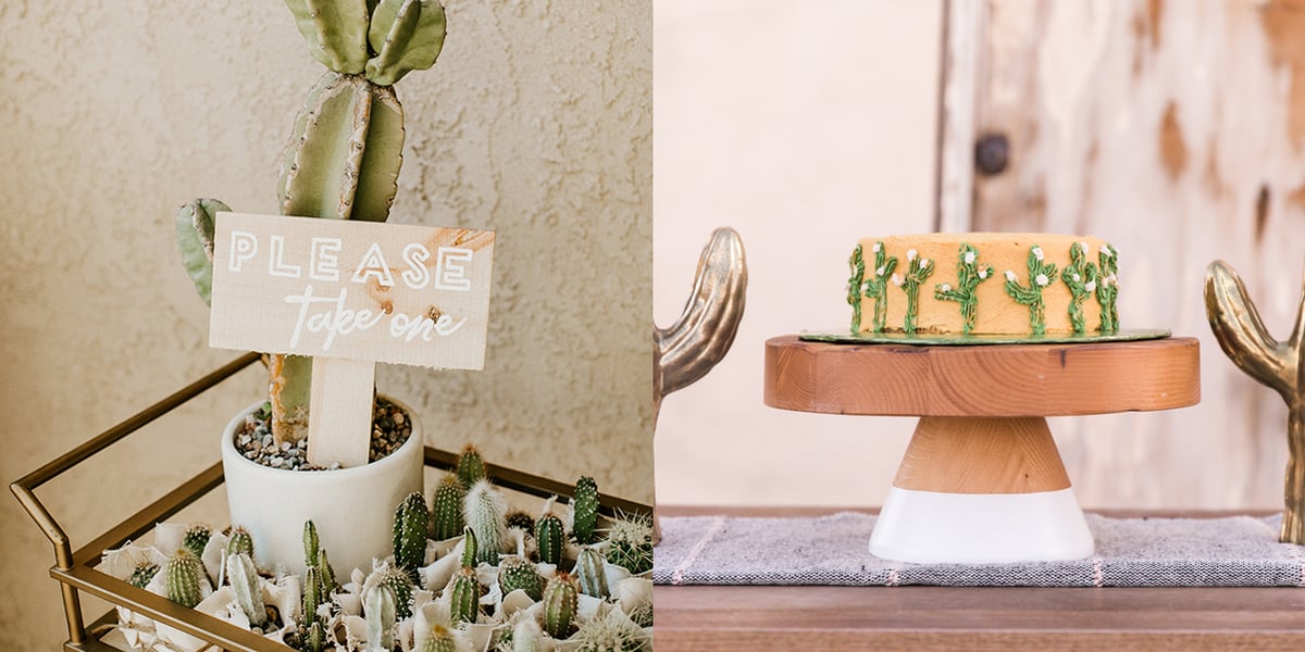 Cactus baby shower decor deals