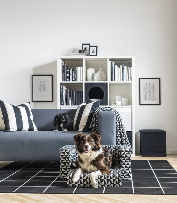 Lurvig Cover For Cat/Dog Bed Ikea Launches New 2019 Lurvig Pet Collection POPSUGAR UK Pets