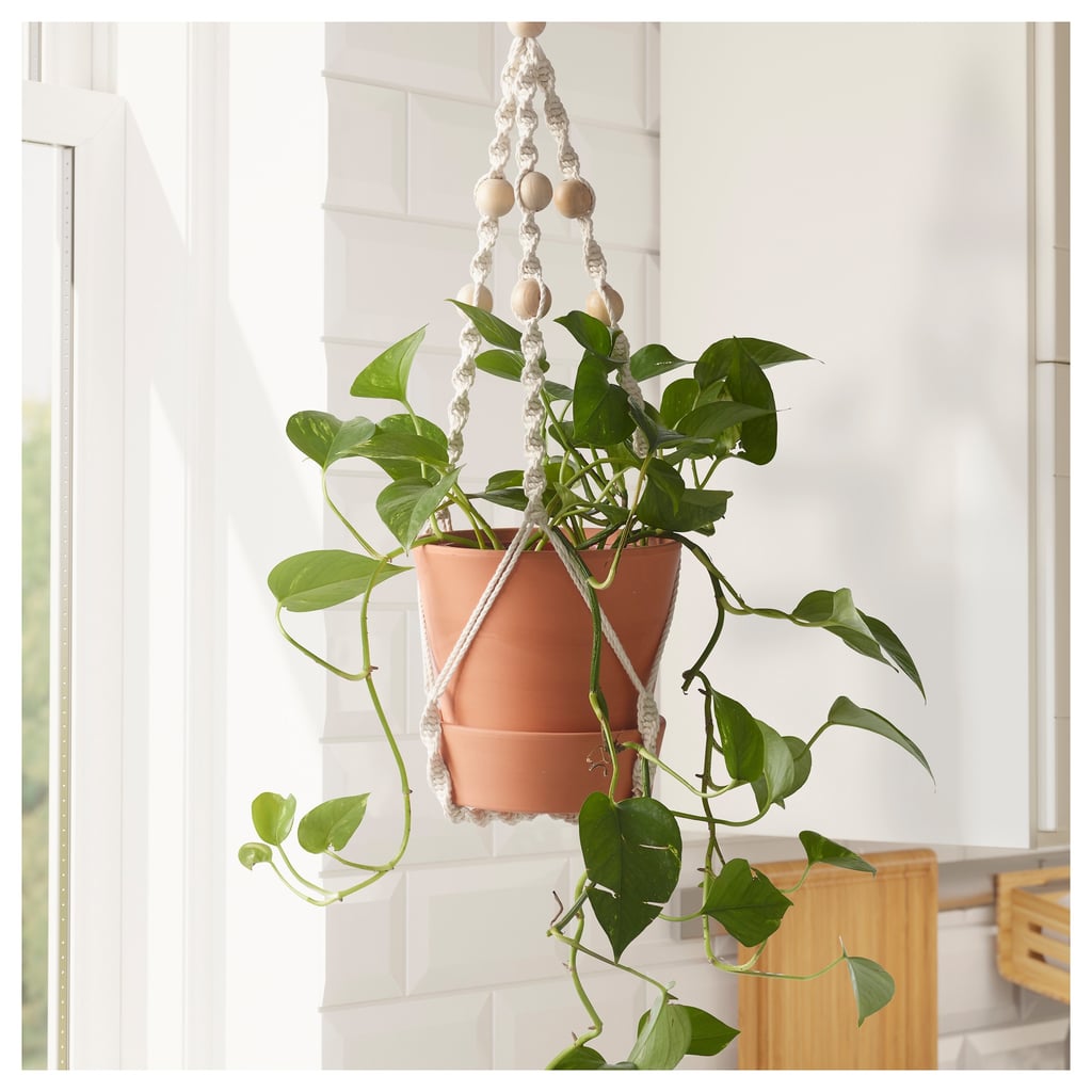 Användbar Hanging Plant Holder