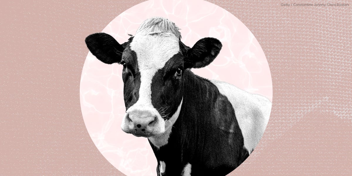 Beef Tallow Skin Care Is All Over TikTok — but Is It Safe?