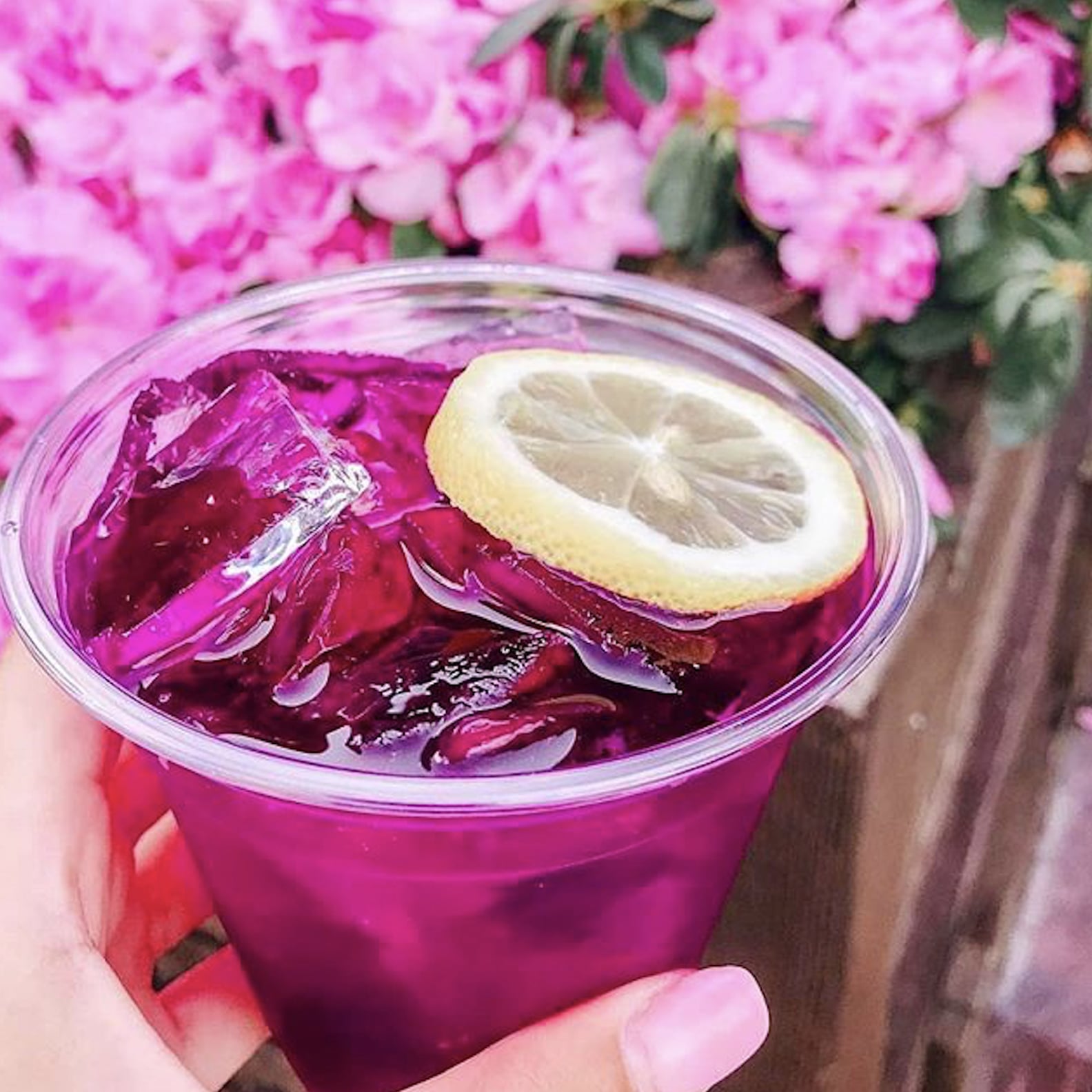 The Best Drinks to Get Around the World at Epcot POPSUGAR Food