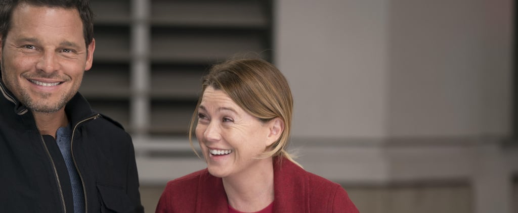 Grey's Anatomy: What Will Meredith Do Without Alex?