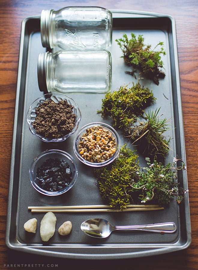 DIY Moss Terrarium Craft